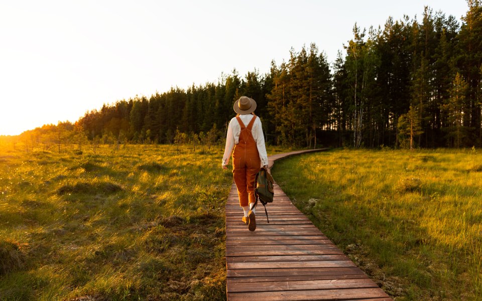 A person walking along a boardwalk path across a sunny meadow